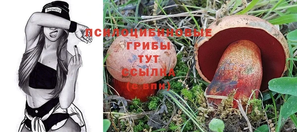 2c-b Алзамай