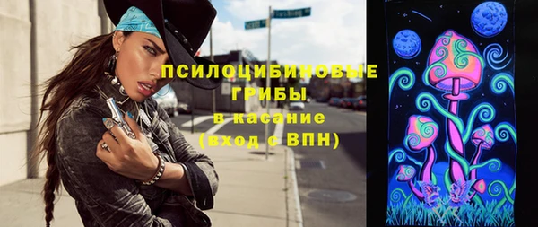 герыч Алексин