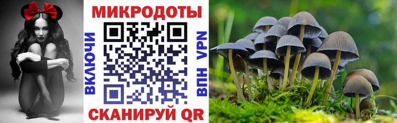 blacksprut вход shop состав Псилоцибиновые грибы Cubensis купить наркотик Цивильск
